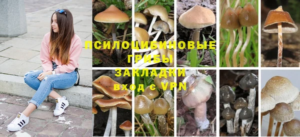 прущая мука Балахна