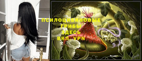 Альфа ПВП Баксан