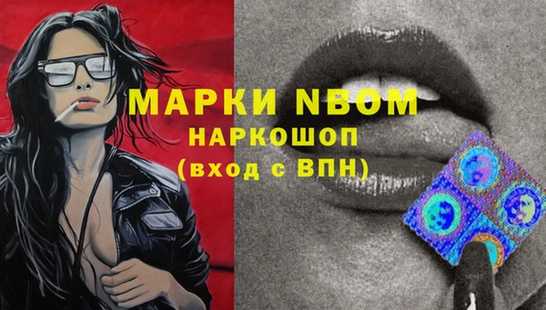 Альфа ПВП Баксан