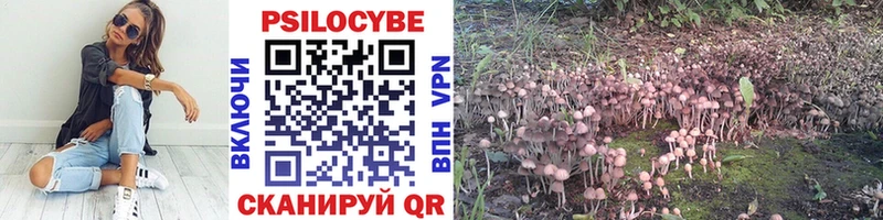 Псилоцибиновые грибы прущие грибы  это состав  Гуково 